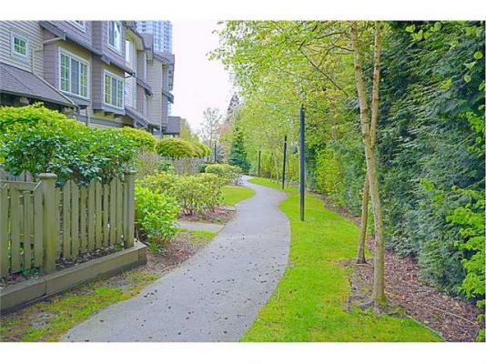 Complex Garden Pathway